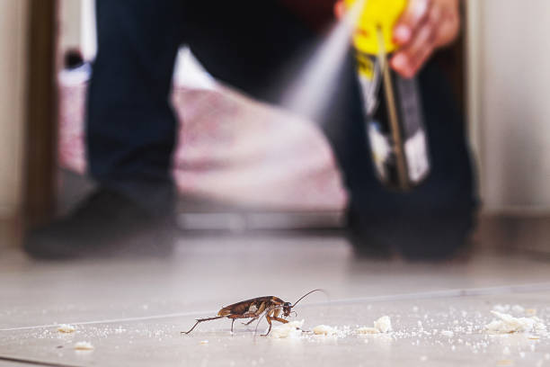 Insect Control in Sewell, NJ